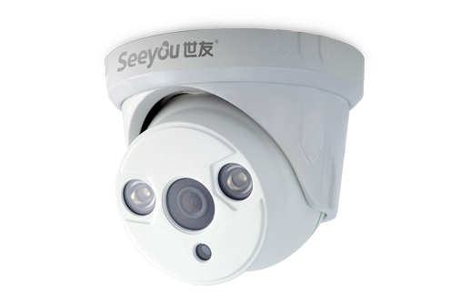 SY-CE3GM3 800線兩燈紅外半球攝像機